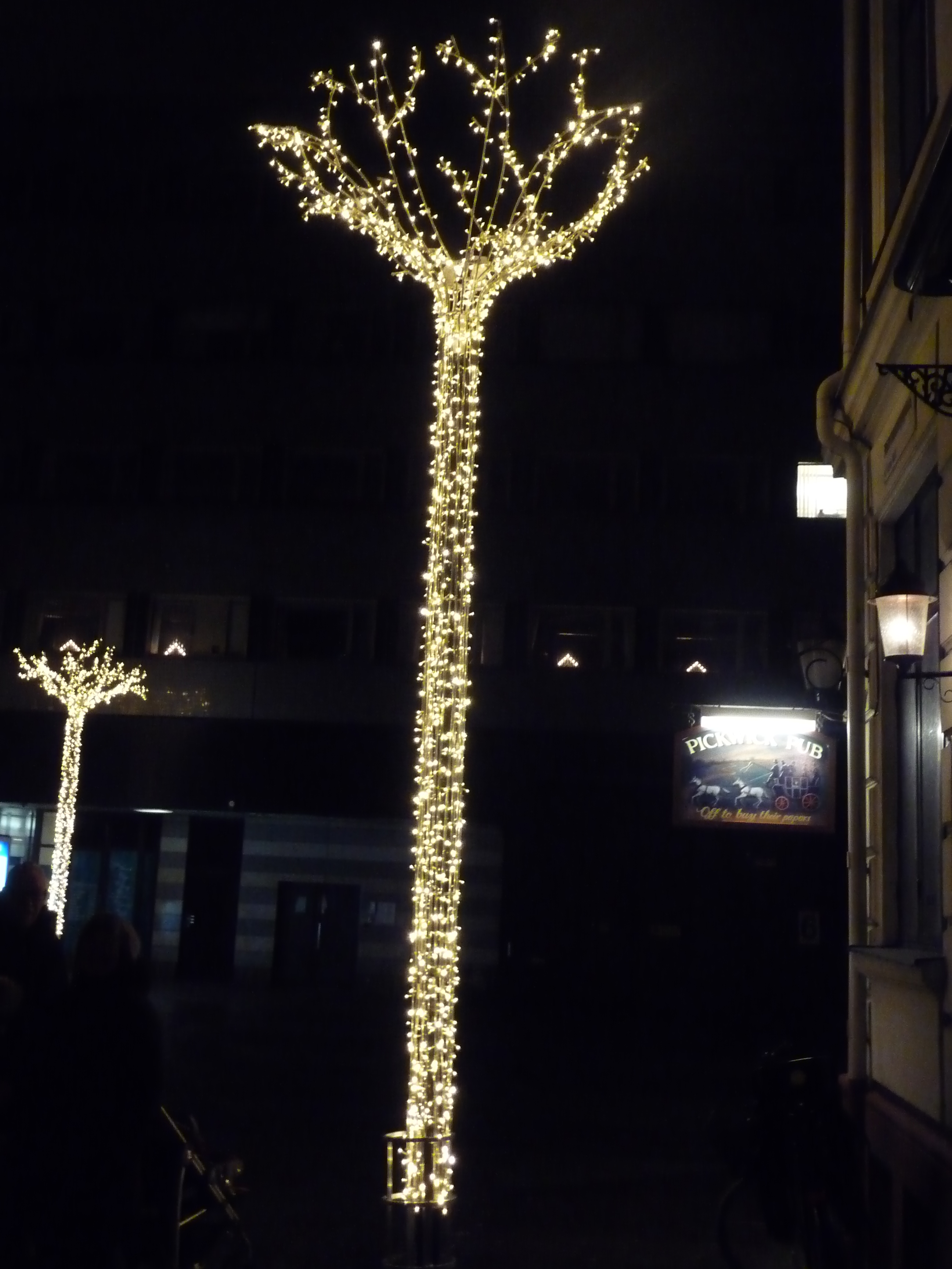 Bild på träd med belysning